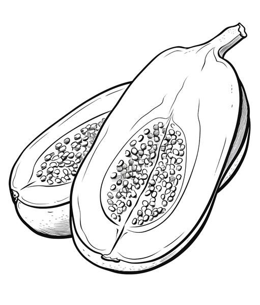 Free printable fruits coloring pages list