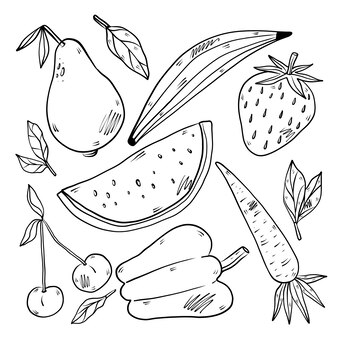 Papaya coloring vectors illustrations for free download