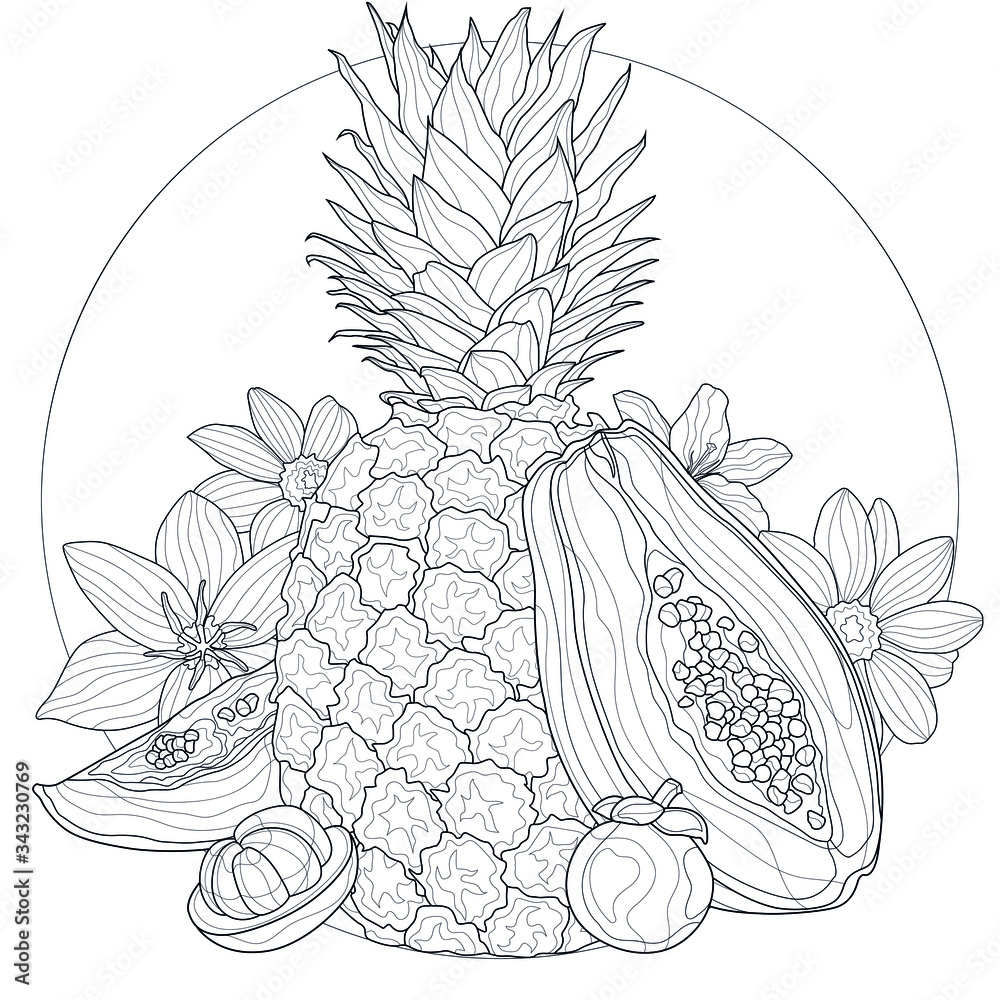 Exotic fruits and flowers pineapple papaya mangosteencoloring book antistress for children and adults zen