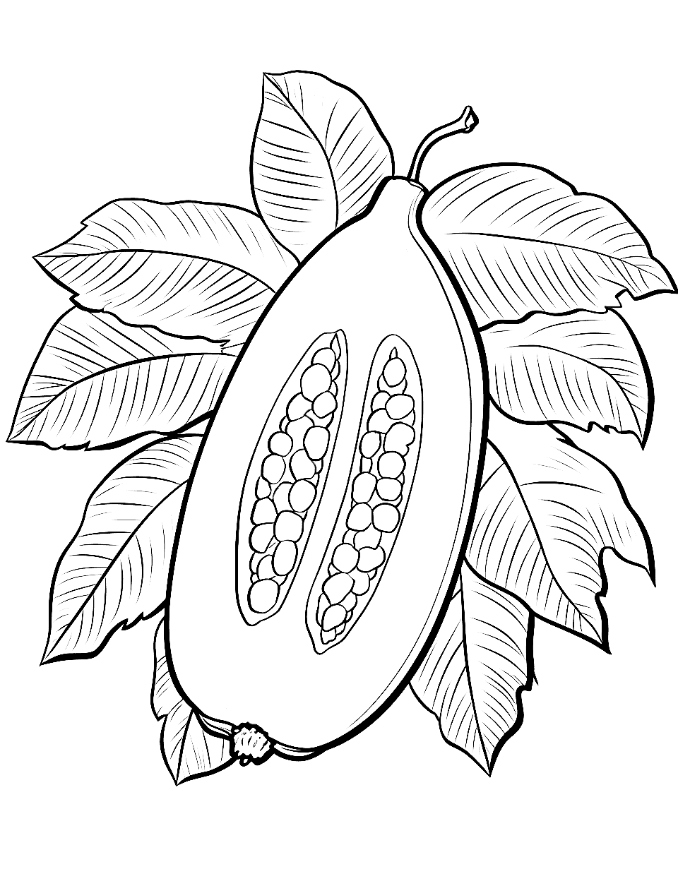 Fruit coloring pages free printable sheets