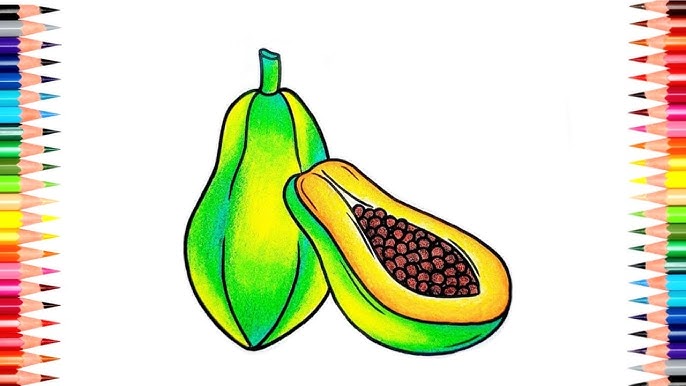 Papaya drawing colour papaya drawing easy papaya drawing step by step