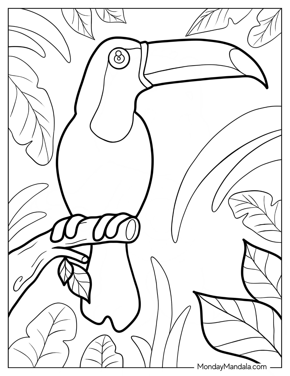 Toucan coloring pages free pdf printables