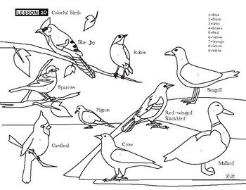 Bird coloring page bird coloring pages coloring pages mon birds