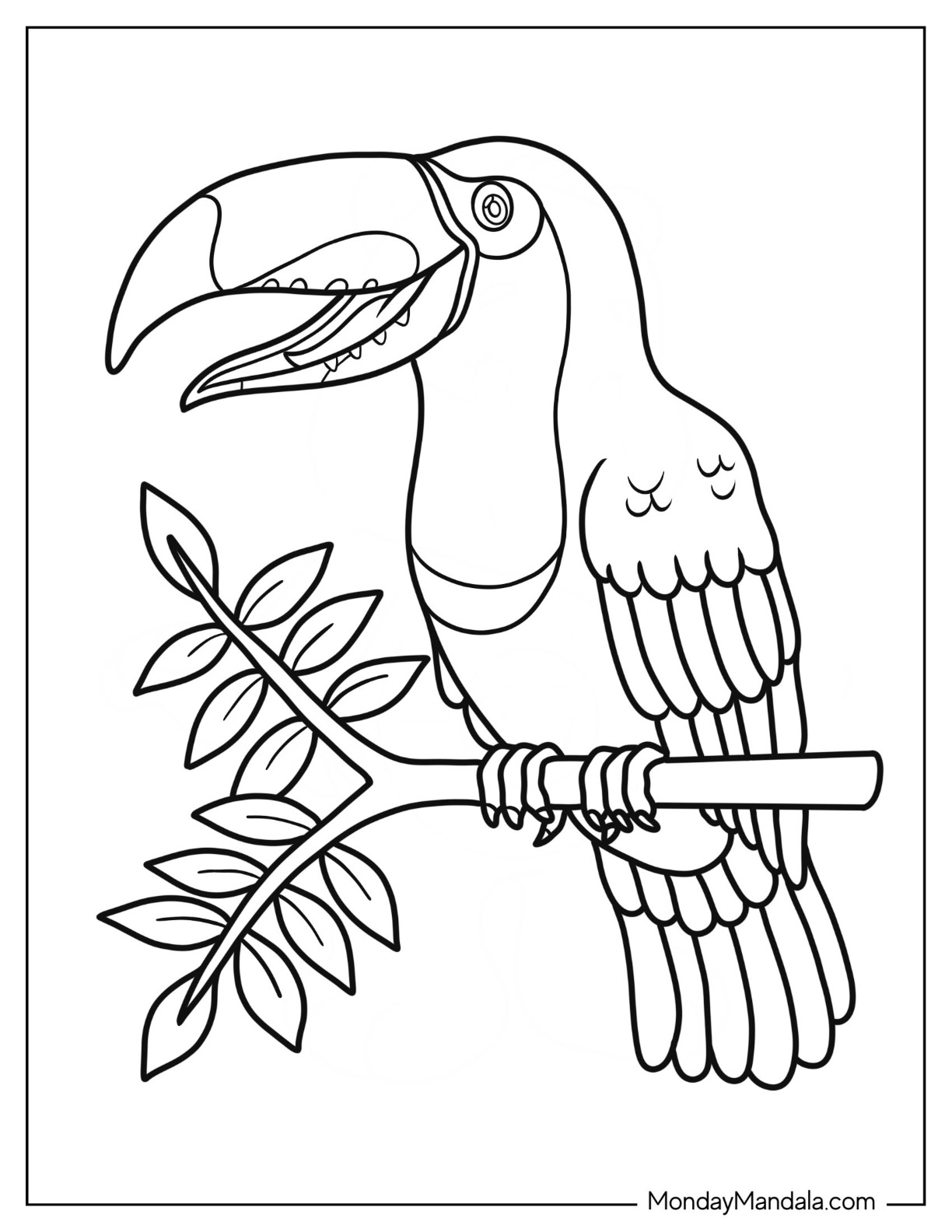 Toucan coloring pages free pdf printables