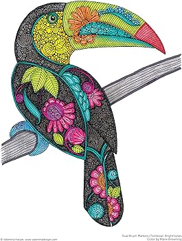 Creative coloring birds art activity pages to relax and enjoy design originals designs with owls songbirds peacocks and more on extra