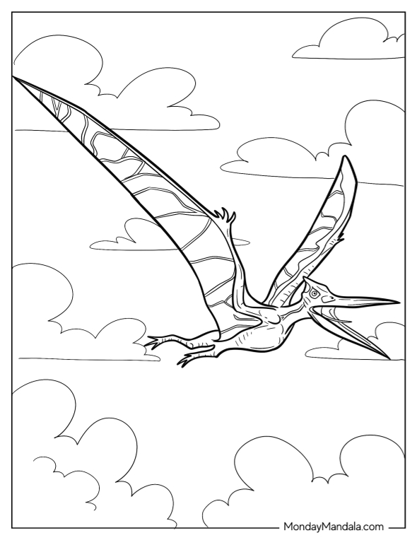 Pterodactyl coloring pages free pdf printables