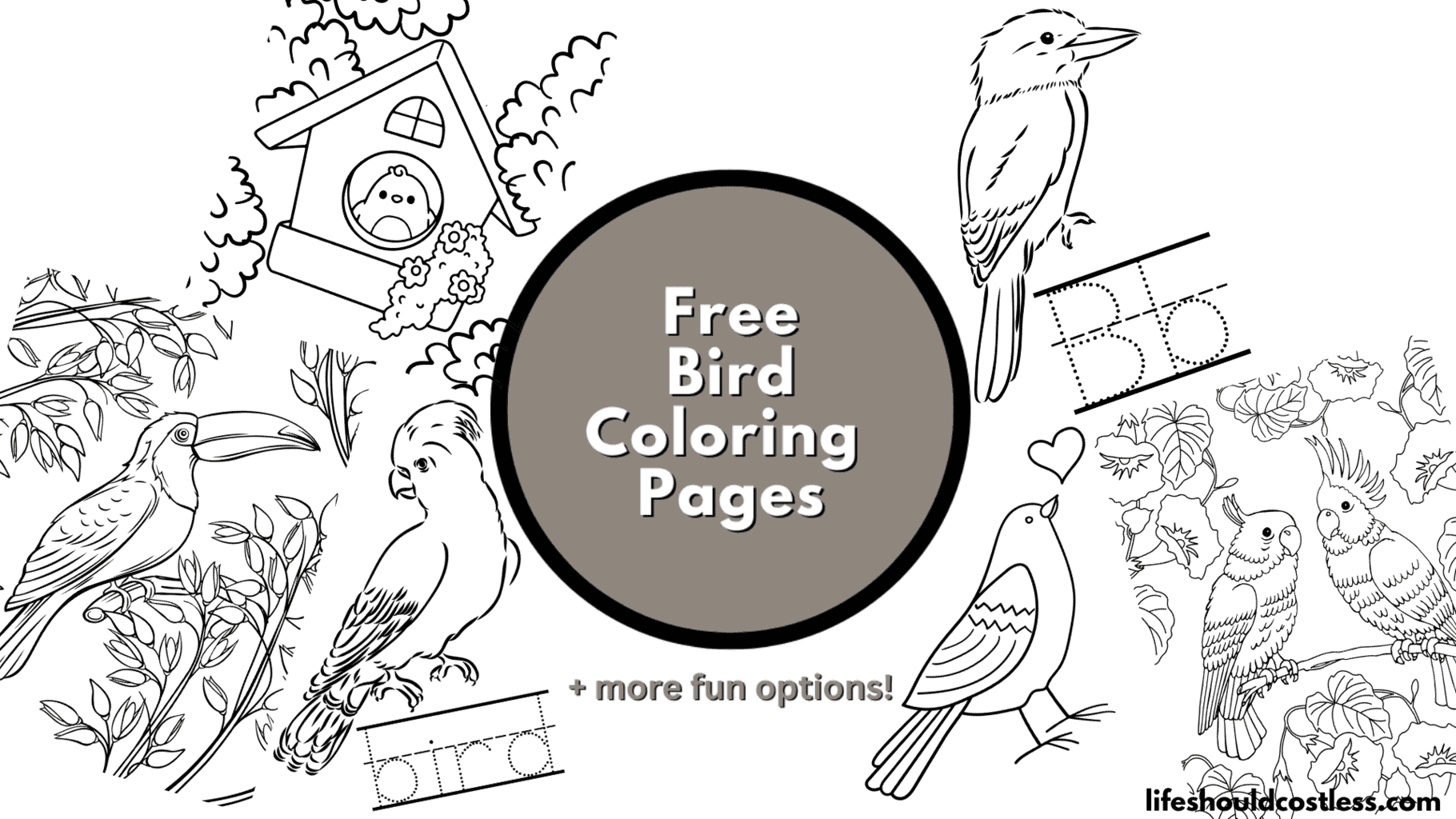 Bird coloring pages free printable pdf templates