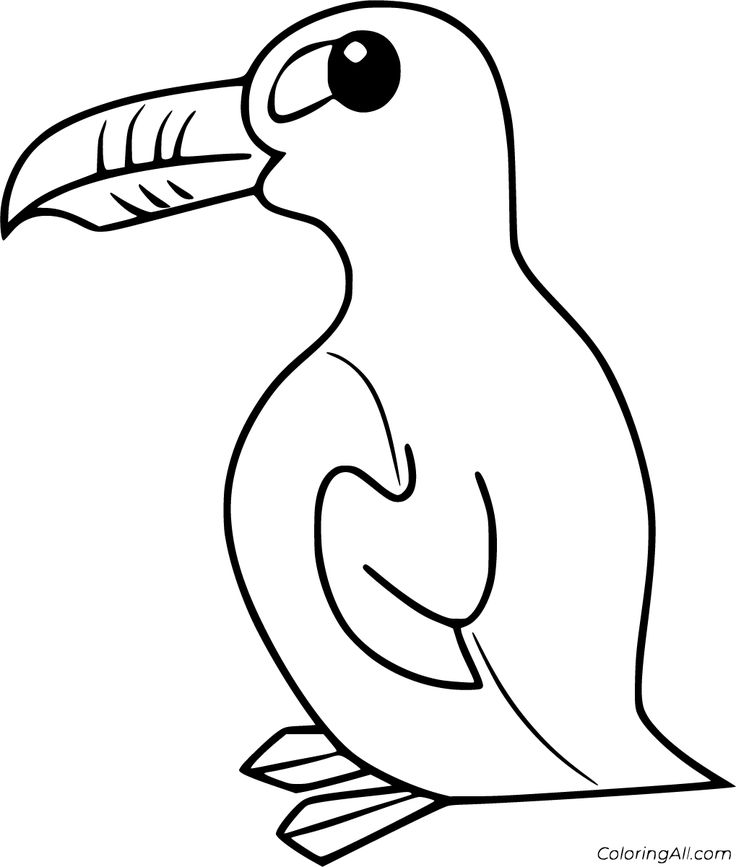 Free printable auk coloring pages in vector format easy to print from any device and automatically fit any paper siâ coloring pages bird coloring pages color