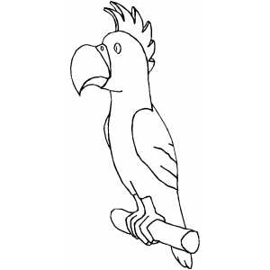 Parrot with big beak coloring page