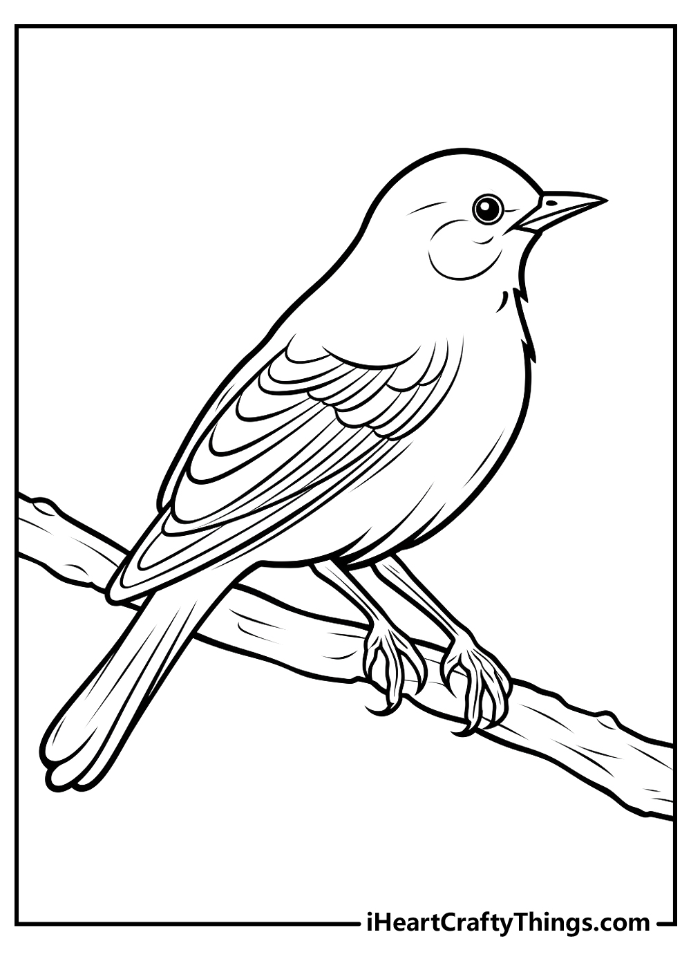 Bird coloring pages free printables