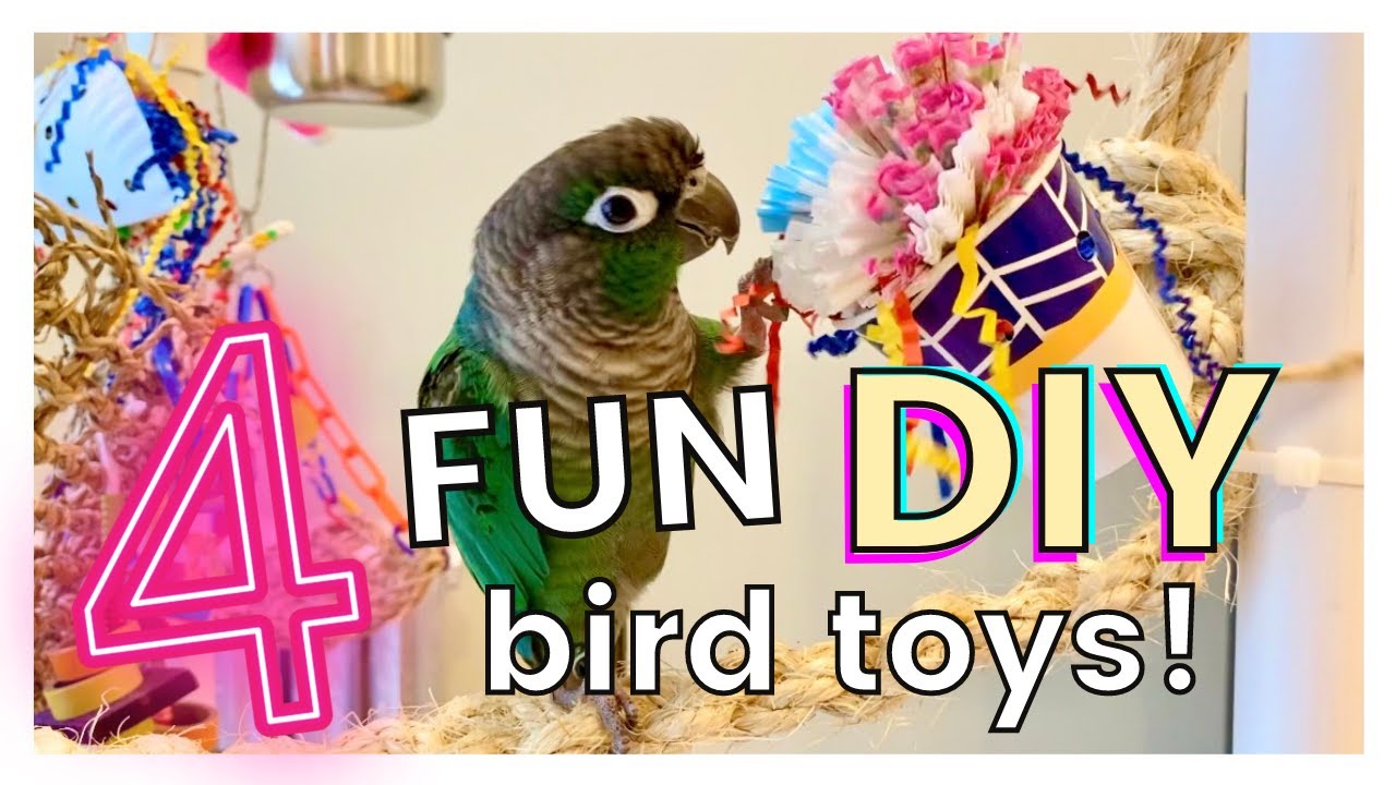 Fun and cheap diy bird toys