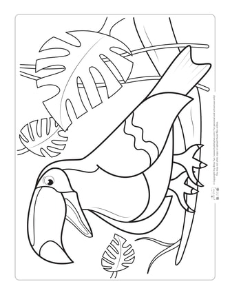 Birds coloring pages for kids