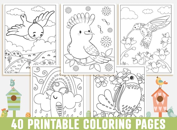 Bird coloring pages printable bird coloring pages for kids boys girls and teens bird birthday party activity instant download