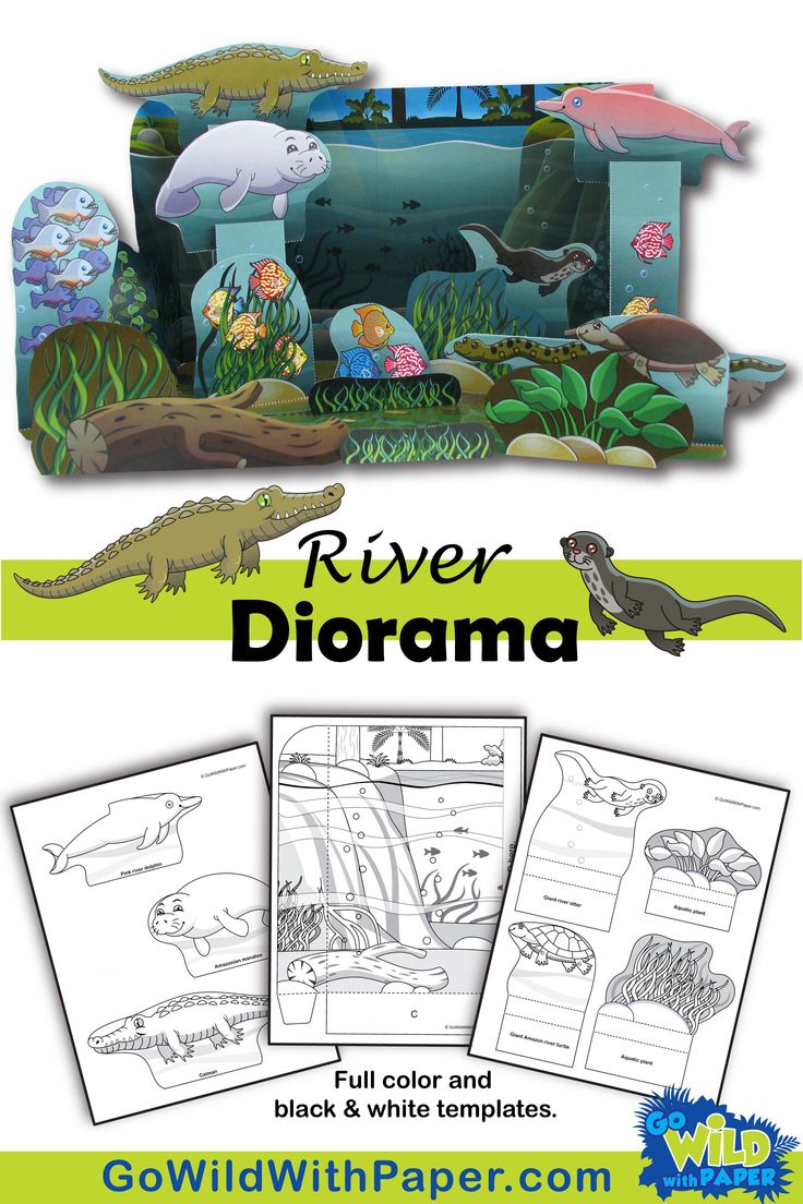 River habitat craft activity amazon river habitat diorama paper model habitat activities animal habitats zoo activities