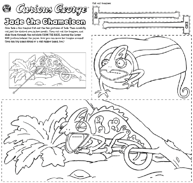 Craft a chameleon kids coloring pages kids for parents