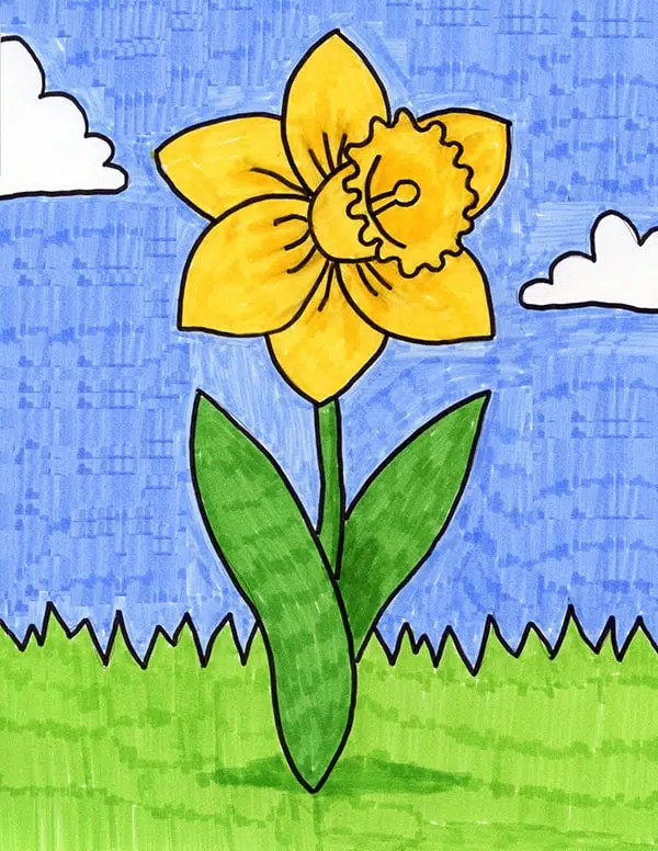 Easy how to draw a daffodil tutorial and daffodil coloring page