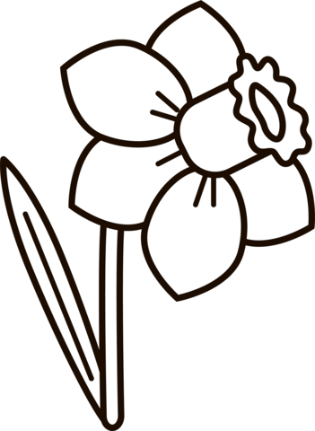 Daffodil coloring page free printable coloring pages