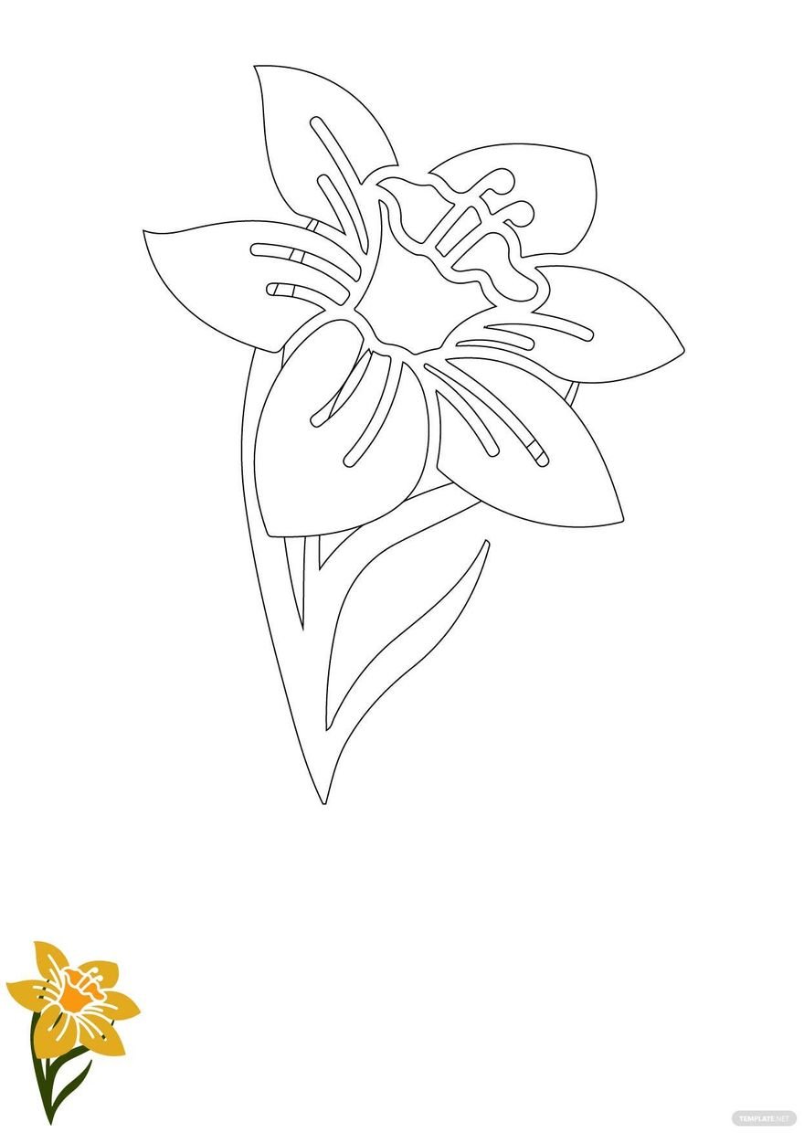 Free daffodil flower coloring page