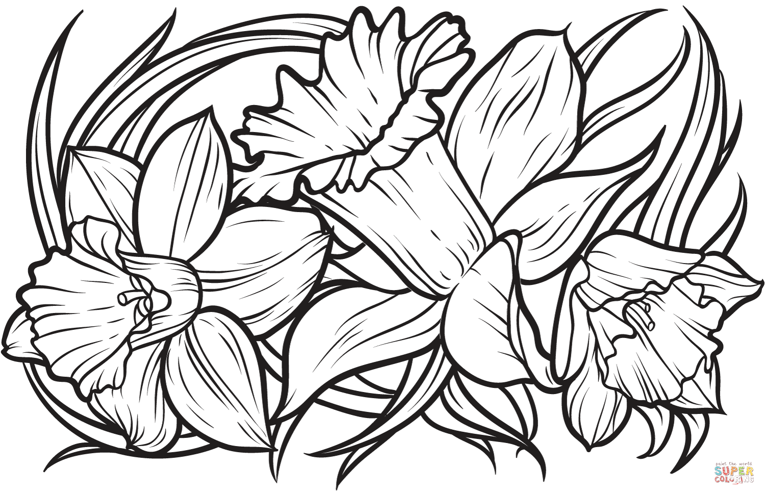 Daffodil coloring page free printable coloring pages easy coloring pages adult coloring pages free printable coloring pages