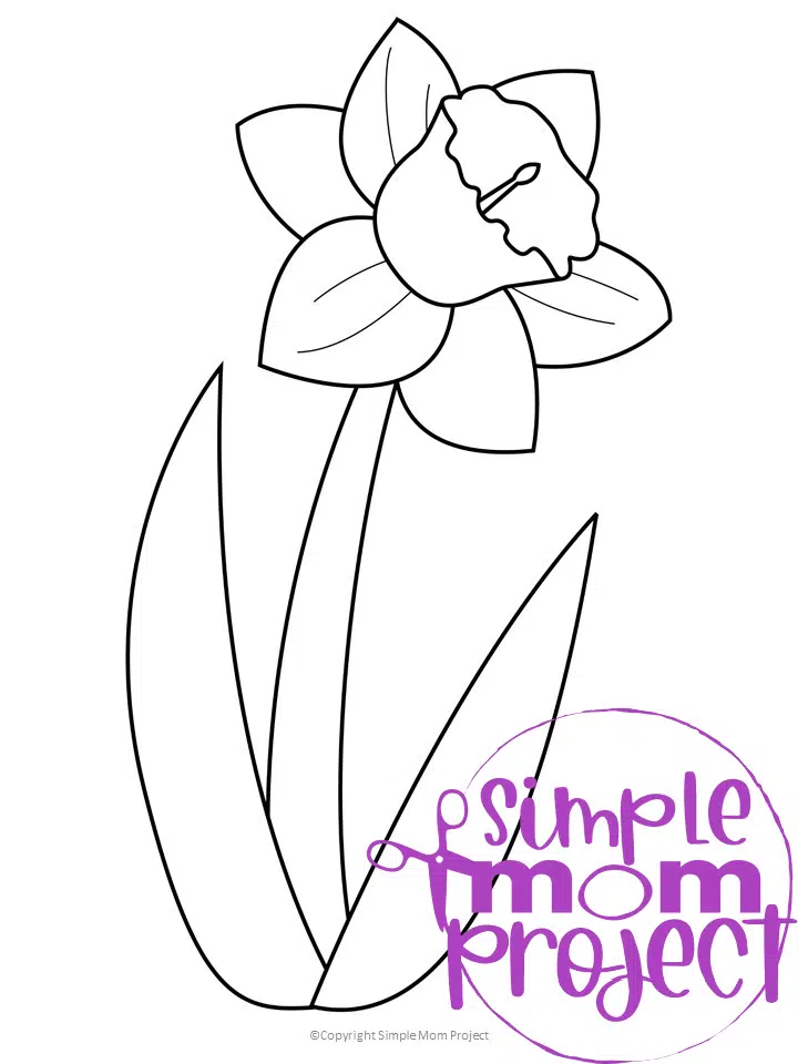 Free printable daffodil template â simple mom project