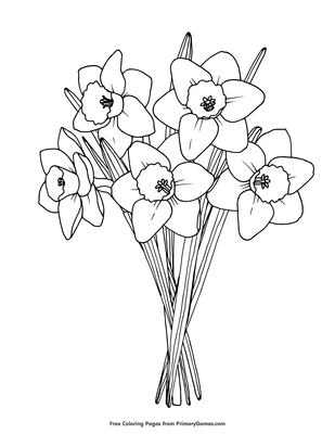 Daffodils coloring page â free printable pdf from