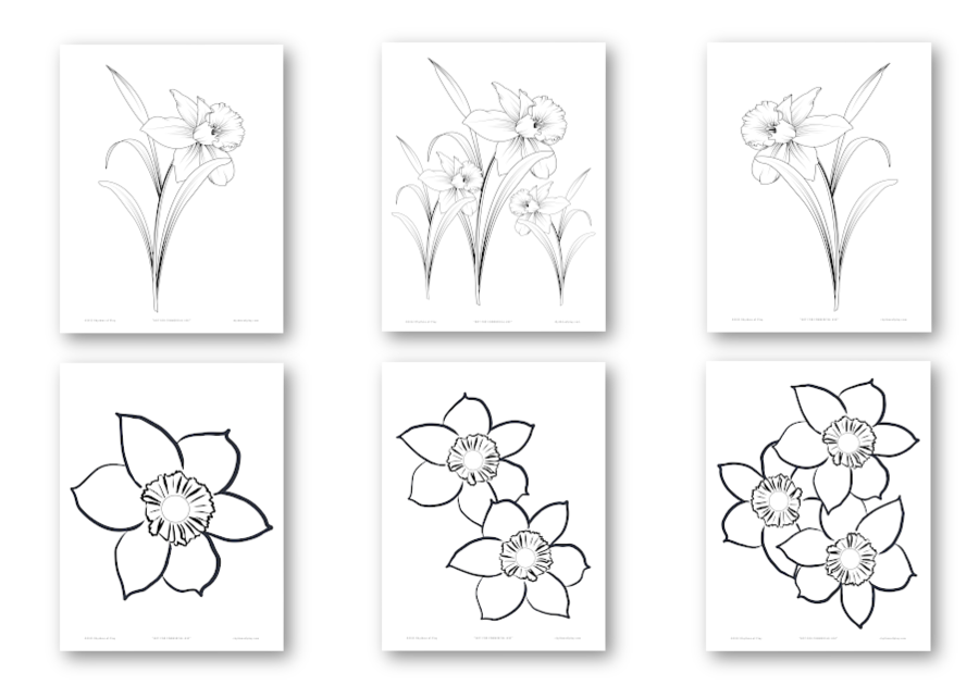 Printable daffodil flower coloring pages and art templates