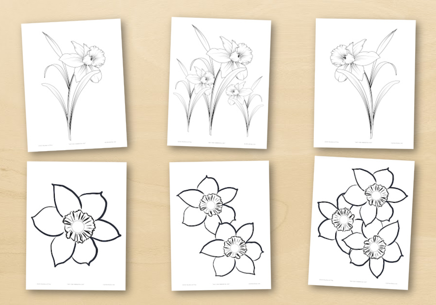 Printable daffodil flower coloring pages and art templates