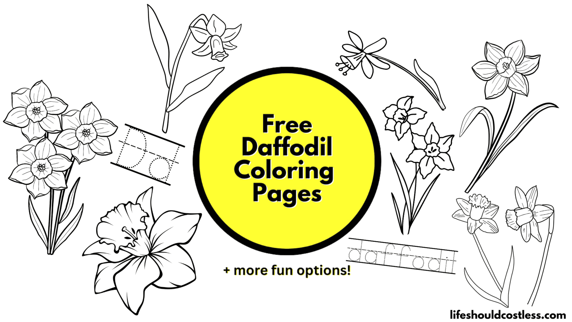 Daffodil coloring pages free printable pdf templates