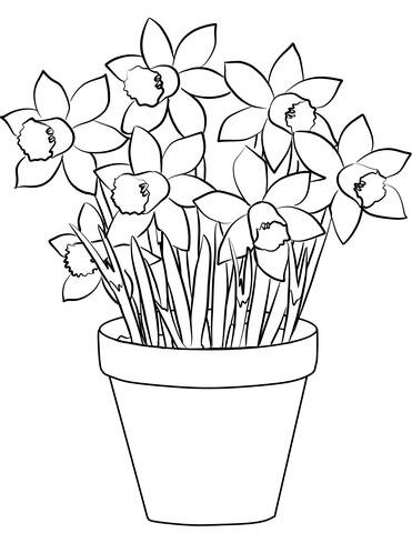 Daffodils coloring page free printable coloring pages