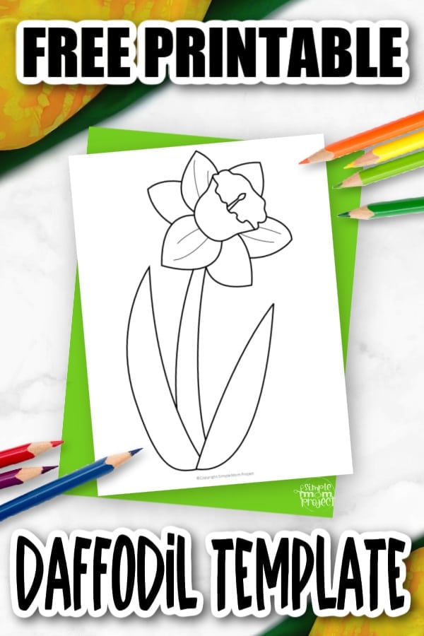 Free printable daffodil template â simple mom project