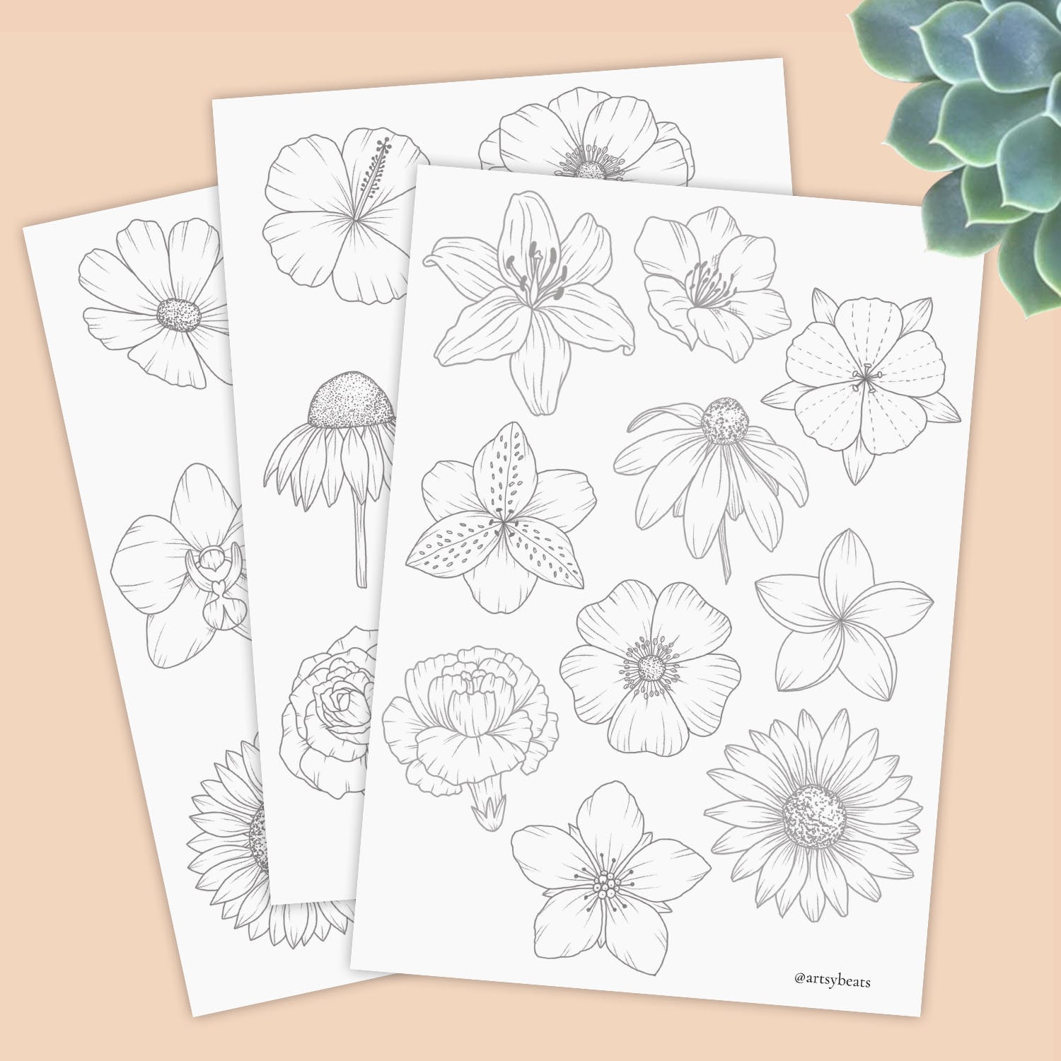 Learn to draw flowers tracing guides coloring pages printable worksheet digital download hibiscus rose daffodil anemone and more download now