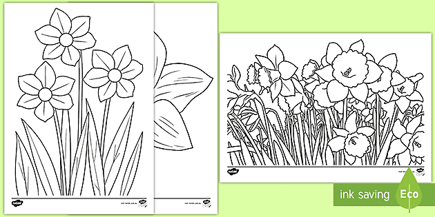 Daffodil louring sheet