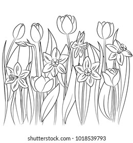Tulip flowers colouring pages images stock photos d objects vectors
