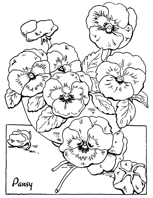 Flower coloring pages for adults