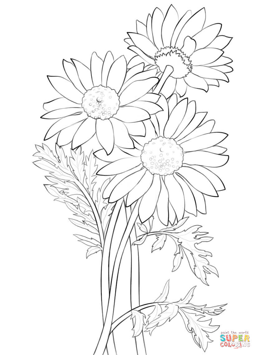 Daisy coloring page free printable coloring pages