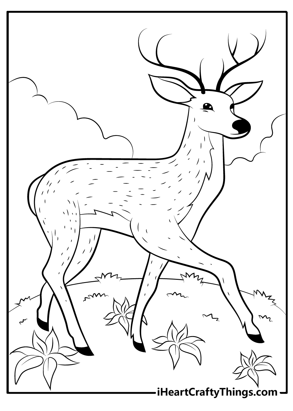 Deer coloring pages free printables