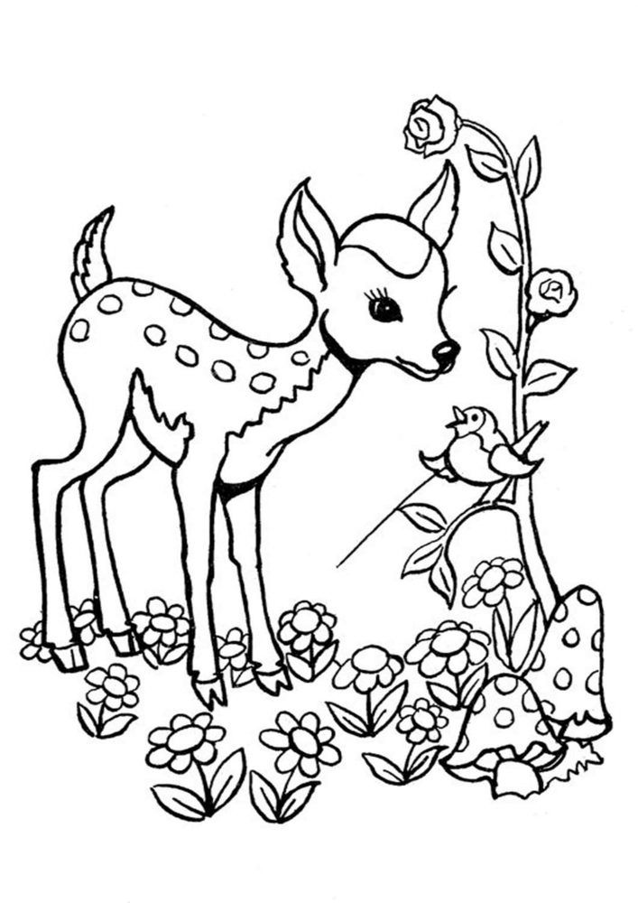 Free easy to print deer coloring pages deer coloring pages animal coloring pages coloring pages