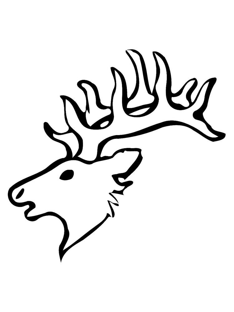 Deer head coloring pages animal coloring pages coloring pages animals images