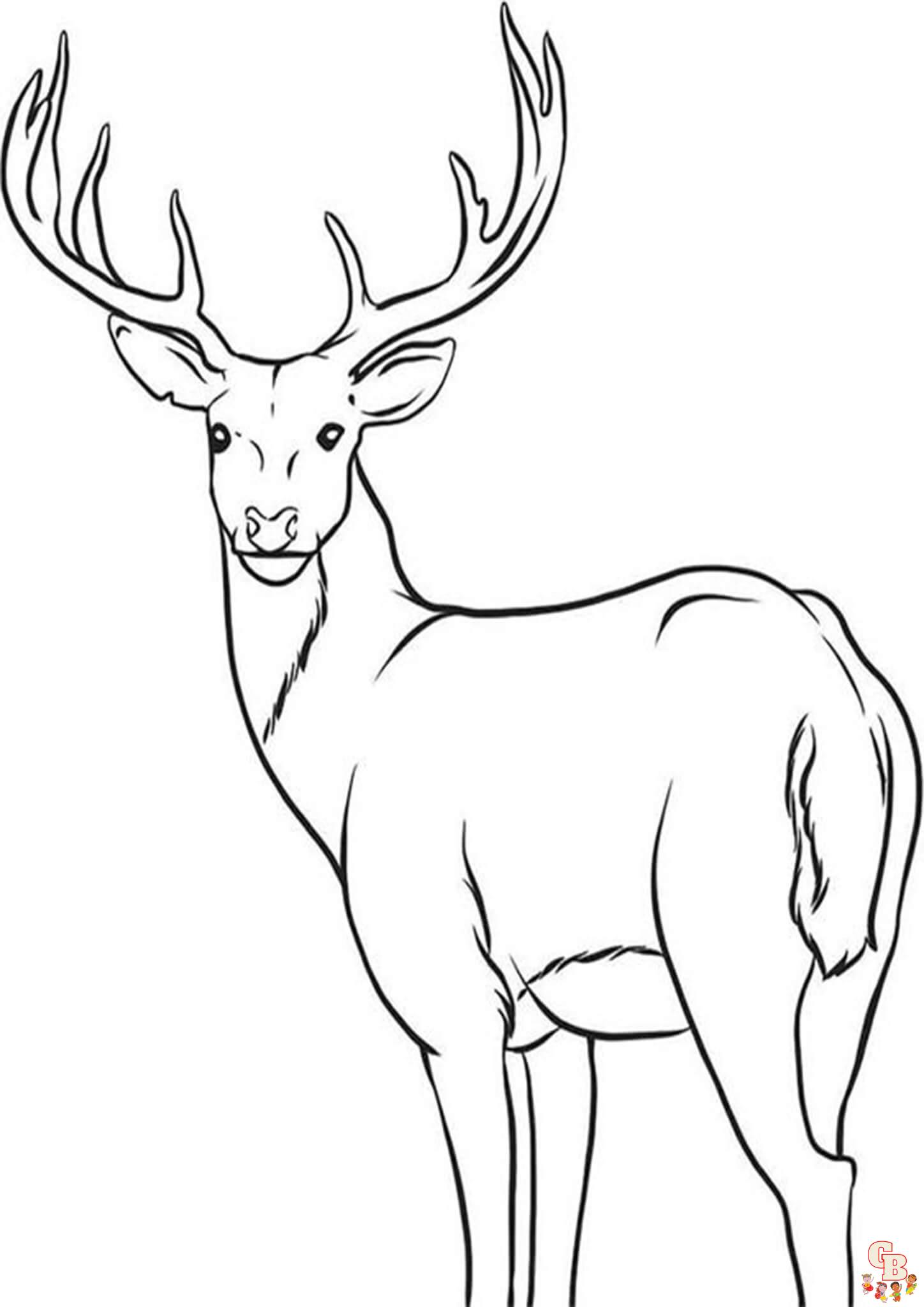 Deer coloring pages