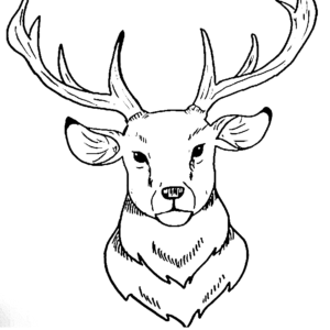 Deer coloring pages printable for free download