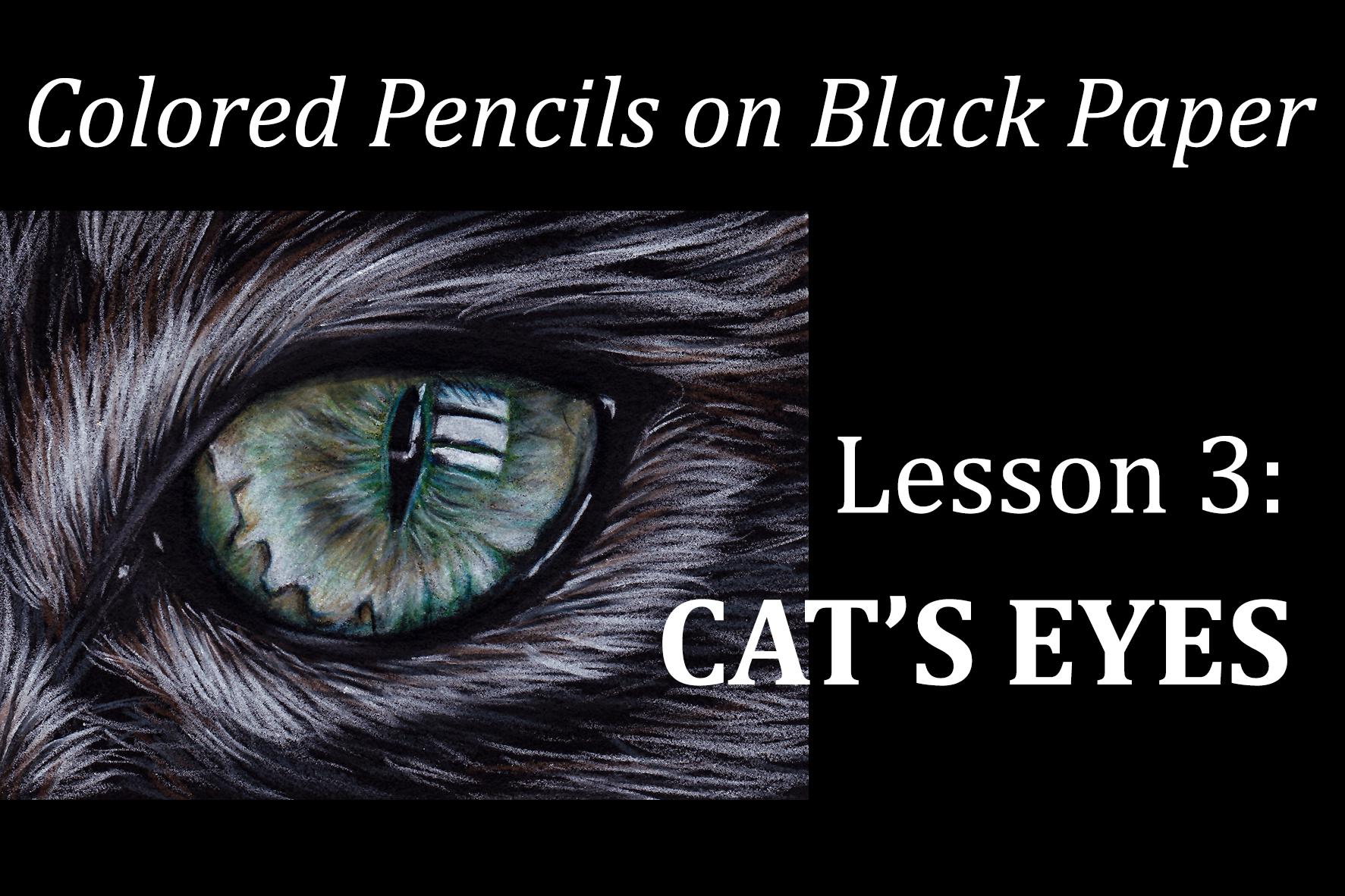 Colored pencils on black paper cats eyes sandrine curtiss