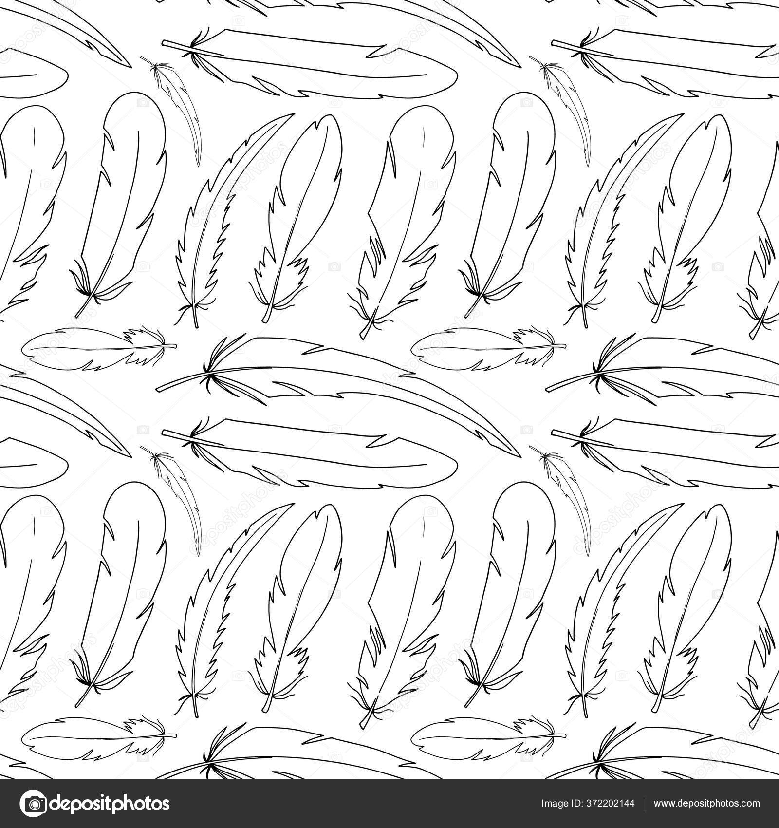 Line cute feathers seamless pattern white background digital doodle outline stock illustration by kayansh