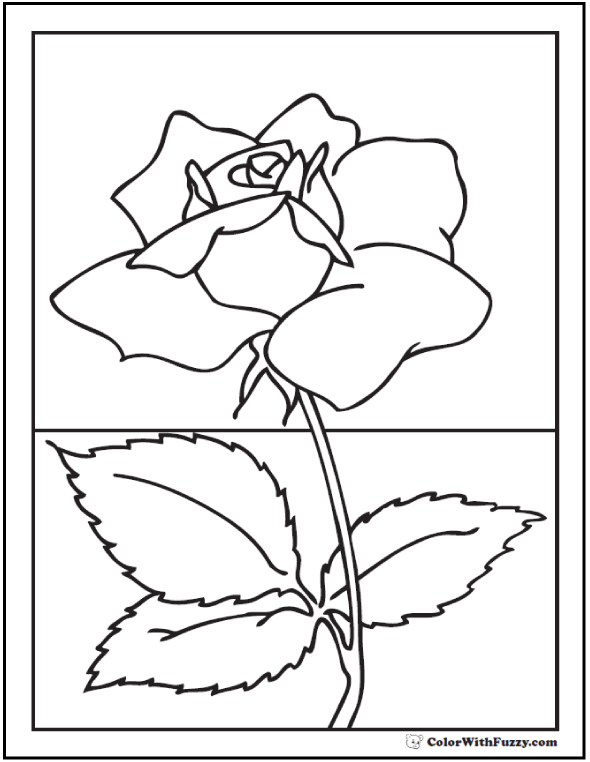 Rose coloring pages â free digital coloring pages for kids