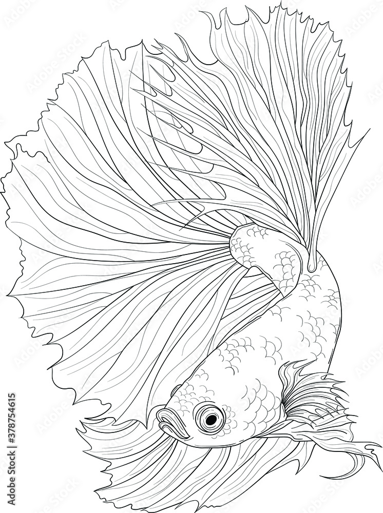 Realistic dragon fish sketch fighting fish vector illustration in black and white for games background pattern decor print for fabrics and other surfaces koi fish coloring paper page book vector