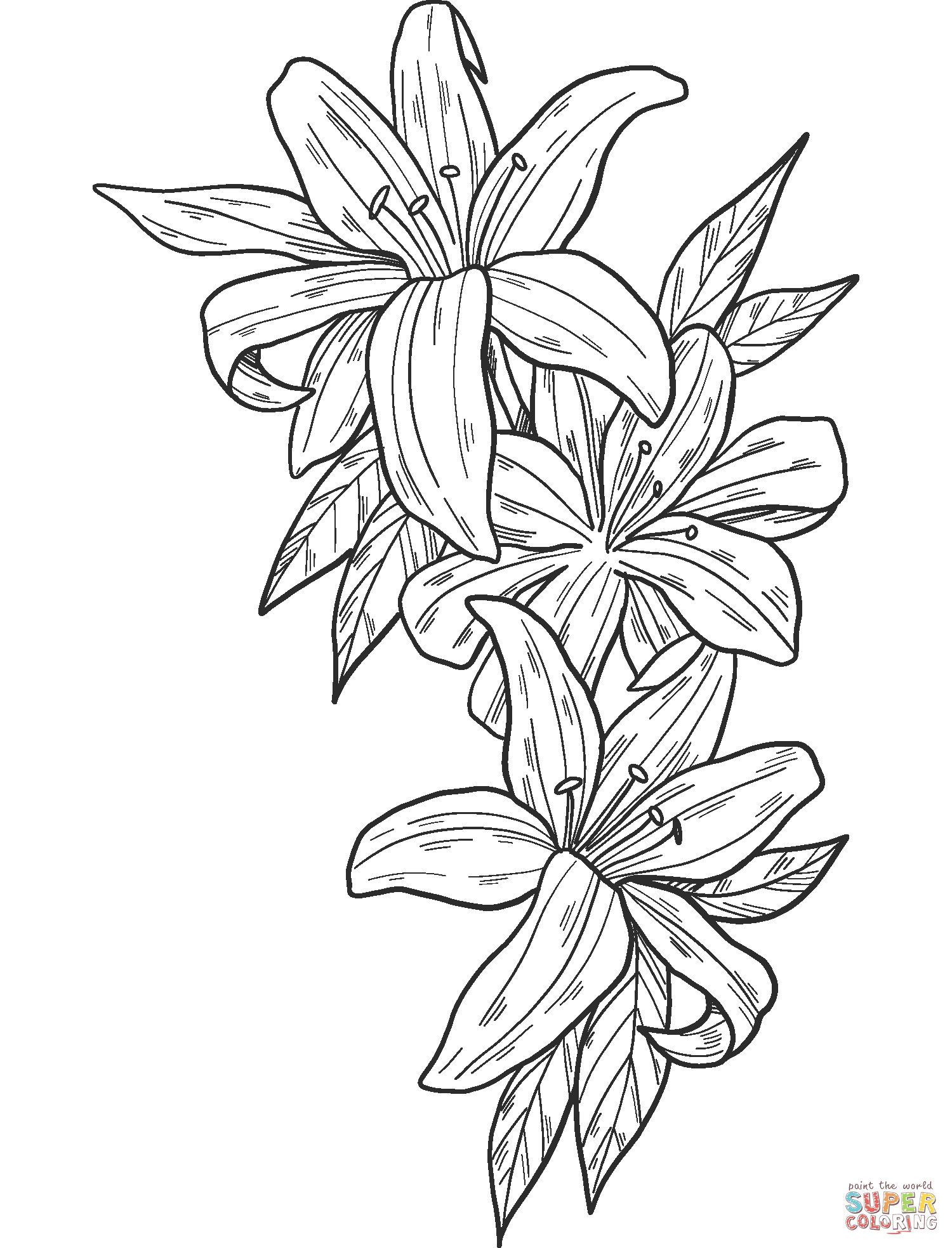 Lilies coloring page free printable coloring pages