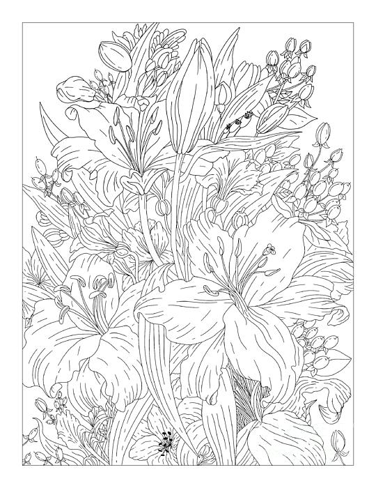 Lilies coloring page lily bouquet art greeting card by lisa brando