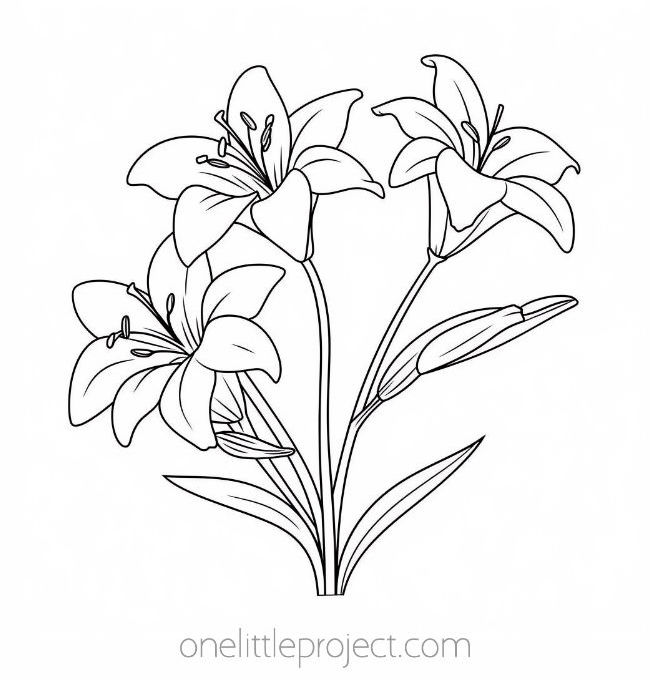 Flower coloring pages free printable flower coloring sheets