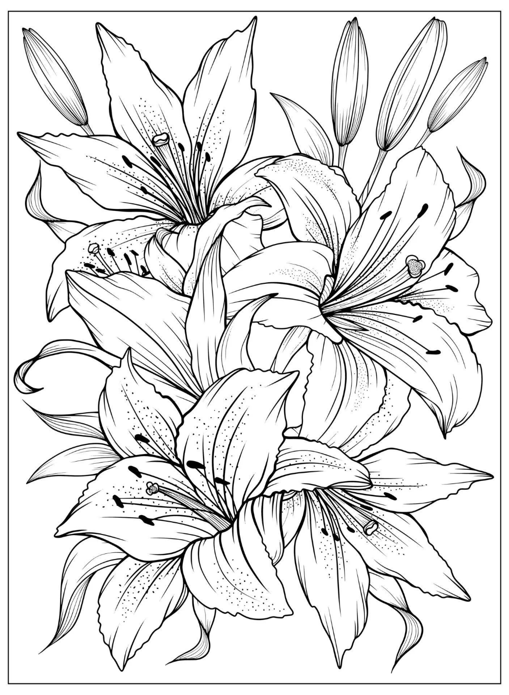 Download coloring page with lilies and leaves vector page for coloring flower colouring page floral printâ flower art drawing flower sketches flower drawing