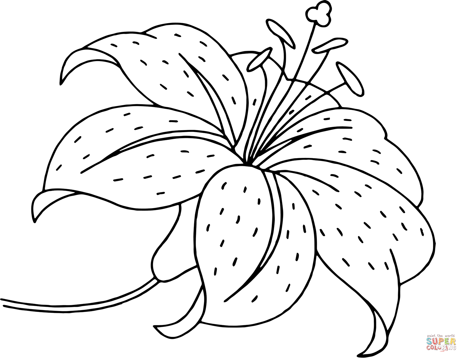 Lily flower coloring page free printable coloring pages