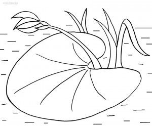 Printable lily pad coloring pages for kids lily pad drawing lily pads lilies drawing